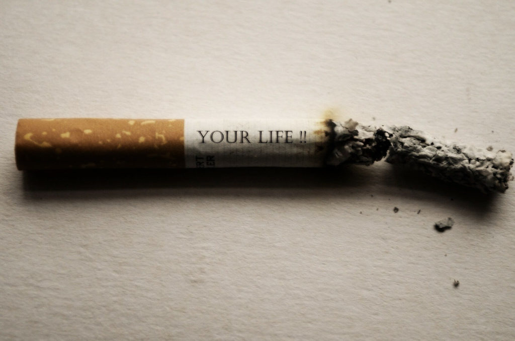 흡연 경고 사진